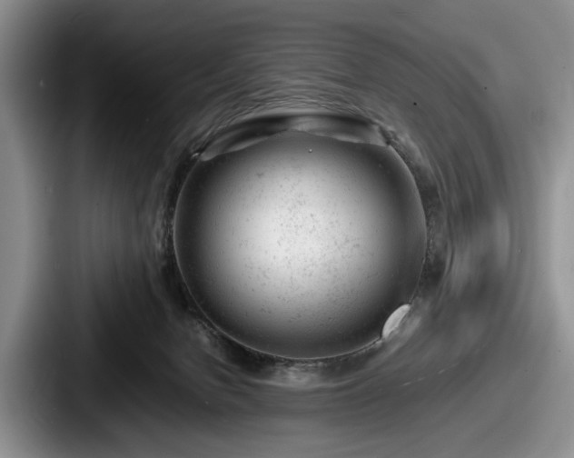 X0000087670078200705111206