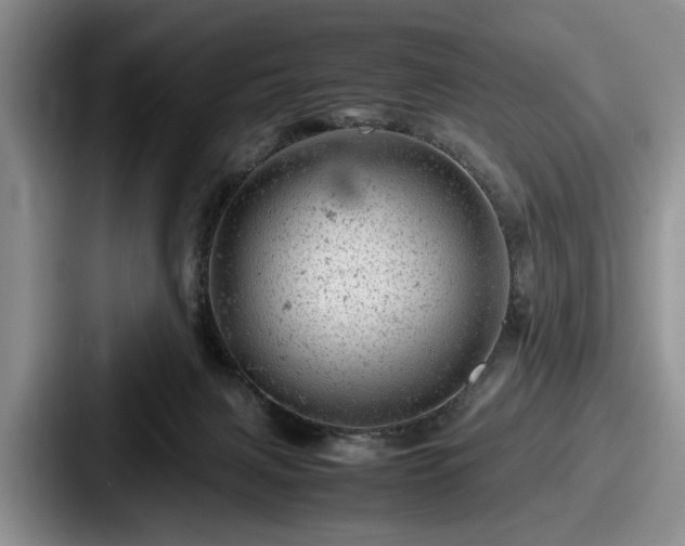 X0000087670079200705111206