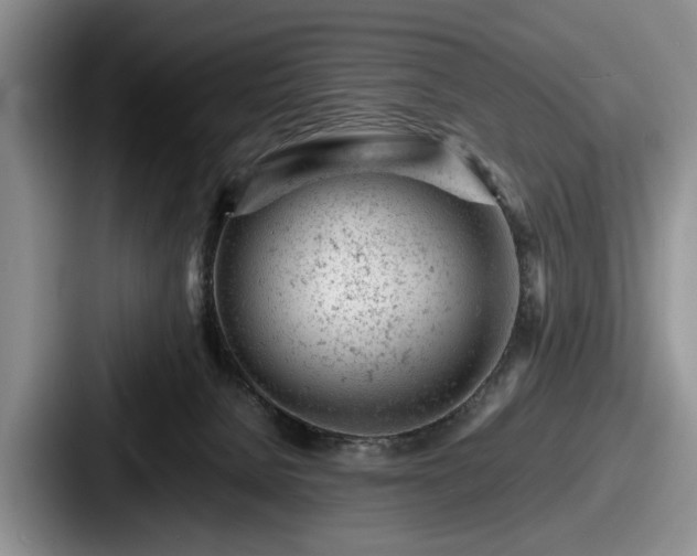 X0000087670080200705111206