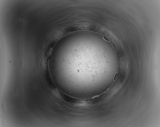 X0000087670083200705111206