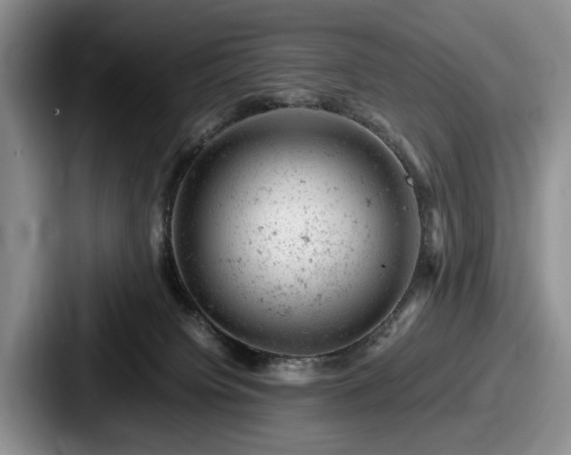 X0000087670084200705111206