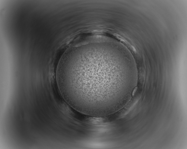 X0000087670085200705111206