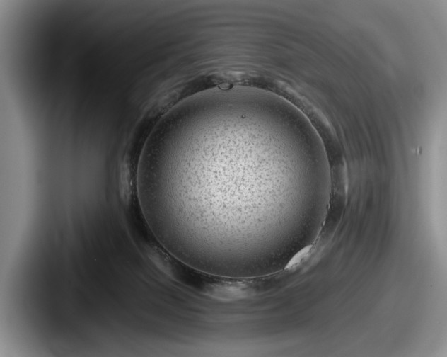 X0000087670086200705111206