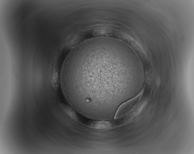 X0000087670087200705111206