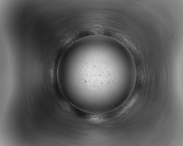 X0000087670088200705111206