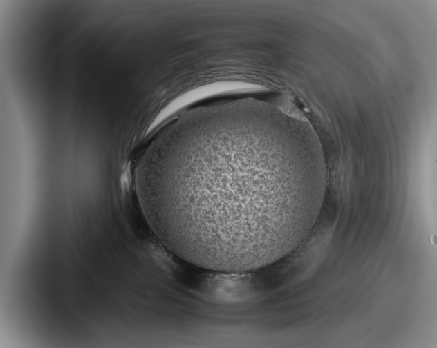 X0000087670089200705111206