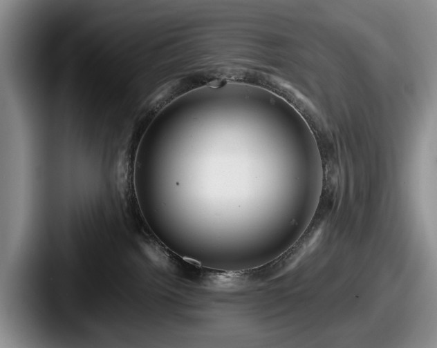 X0000087670092200705111206