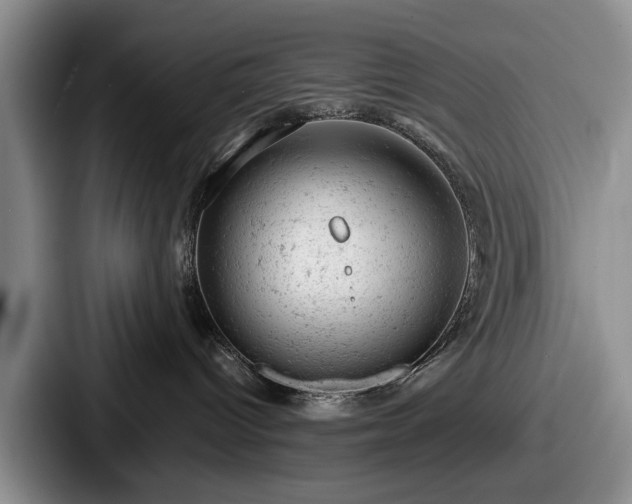 X0000087670096200705111206