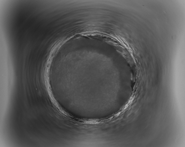 X0000087670097200705111205