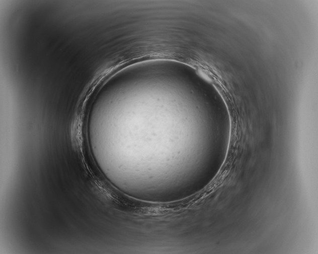 X0000087670098200705111205