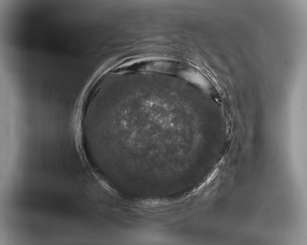 X0000087670101200705111205