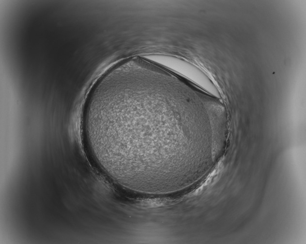 X0000087670103200705111205