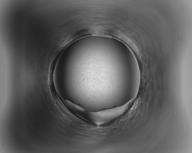 X0000087670105200705111205