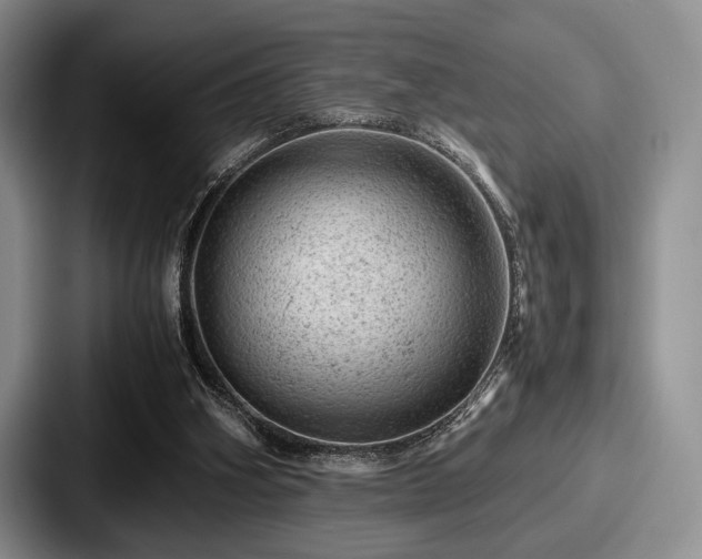 X0000087670106200705111205