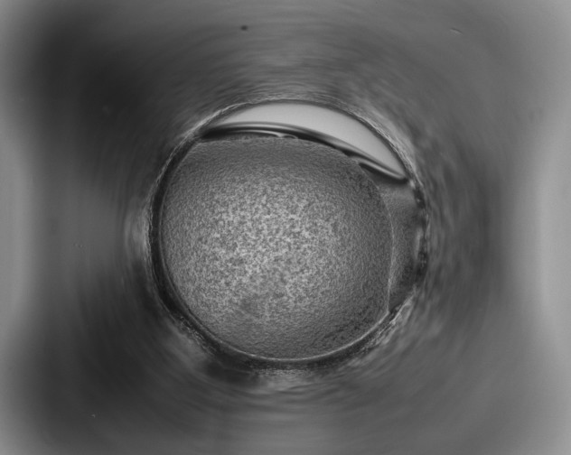 X0000087670107200705111205