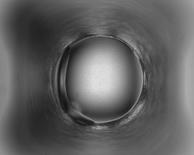 X0000087670109200705111205