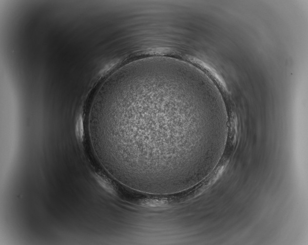 X0000087670110200705111205