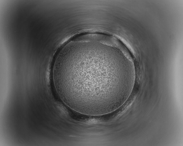 X0000087670111200705111205