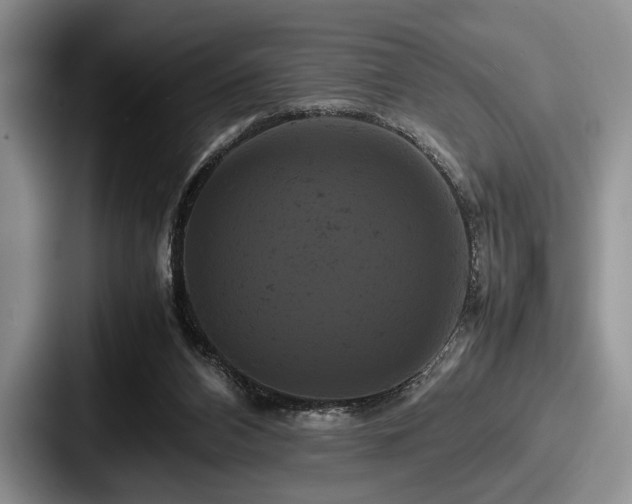 X0000087670112200705111205