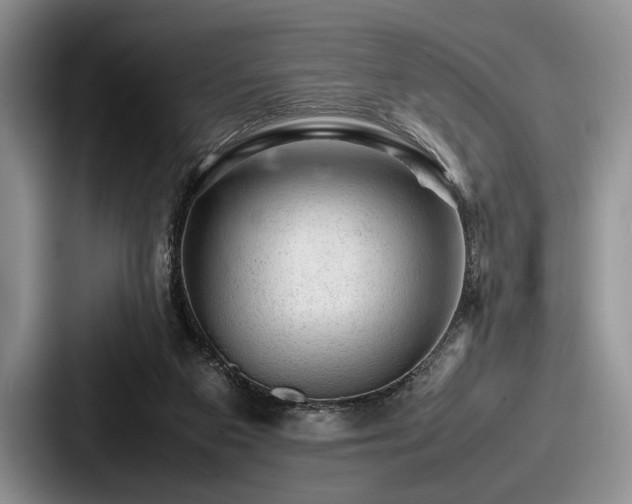 X0000087670113200705111205