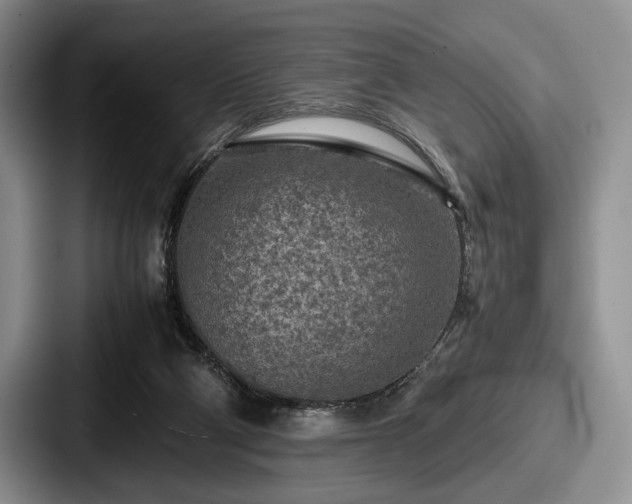 X0000087670114200705111205