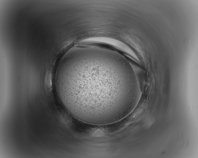 X0000087670115200705111205