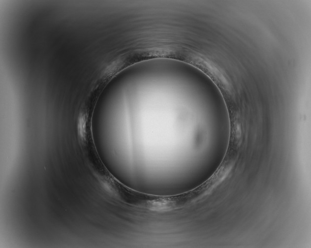 X0000087670118200705111205