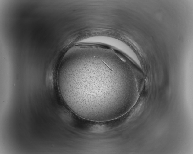 X0000087670119200705111205