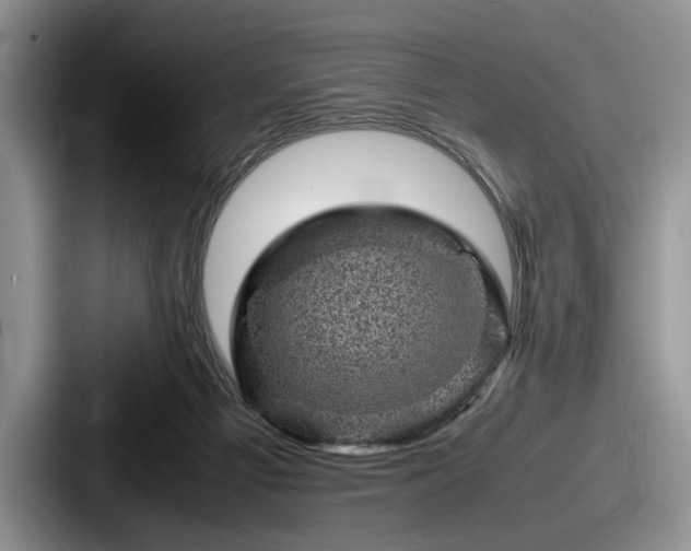 X0000087670121200705111205