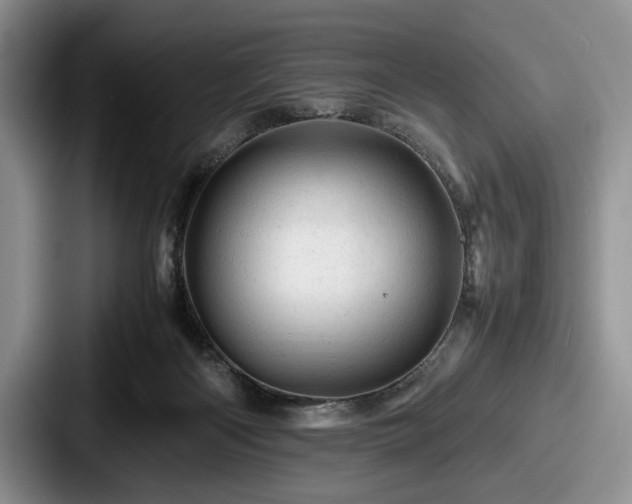 X0000087670122200705111205