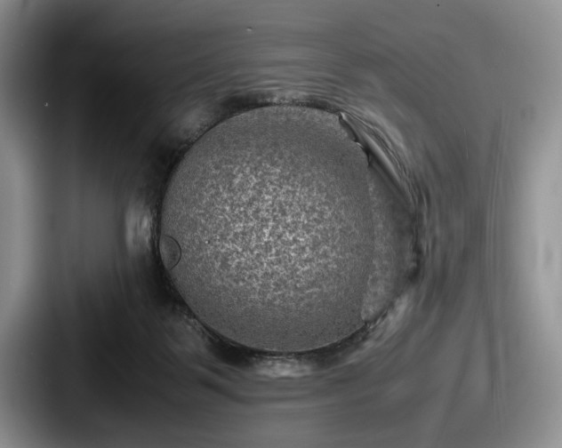 X0000087670123200705111205