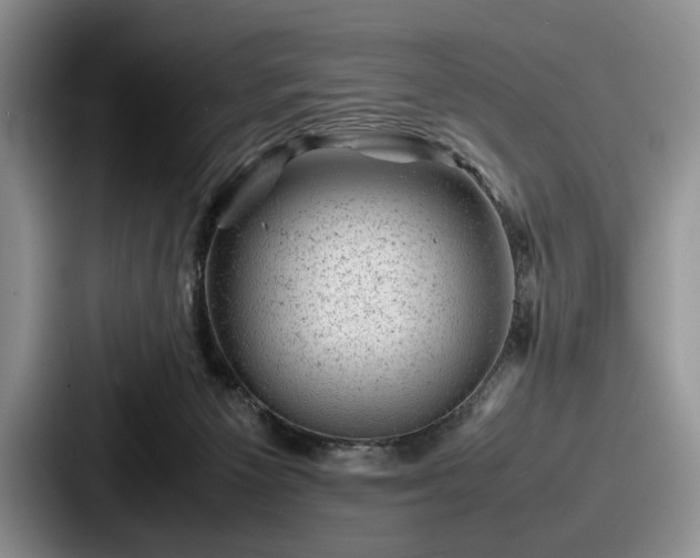 X0000087670125200705111205