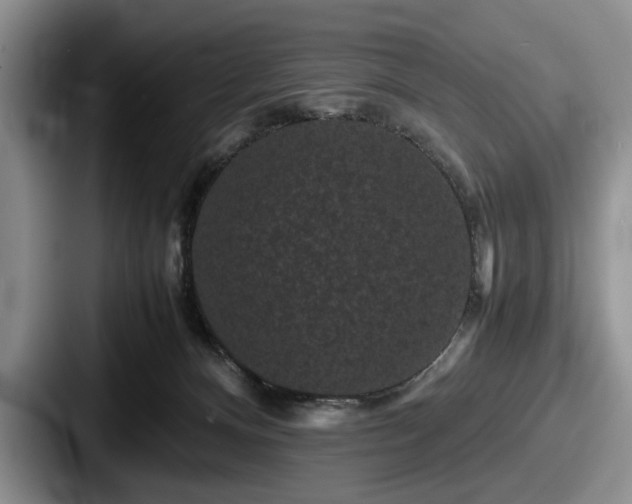 X0000087670128200705111205