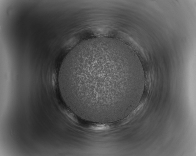 X0000087670130200705111205