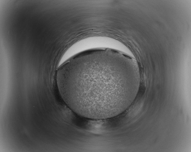 X0000087670131200705111205