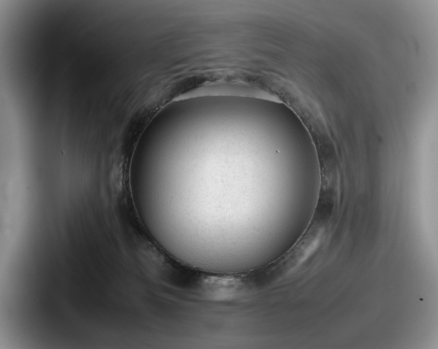 X0000087670133200705111205