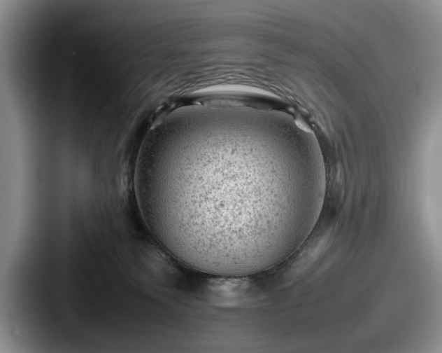 X0000087670135200705111205