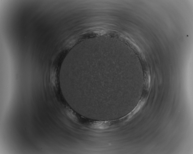 X0000087670136200705111205