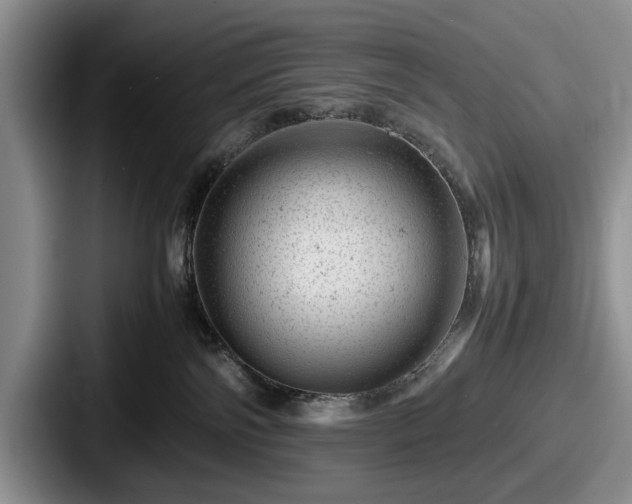 X0000087670138200705111205