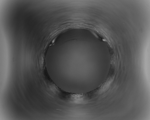 X0000087670139200705111205