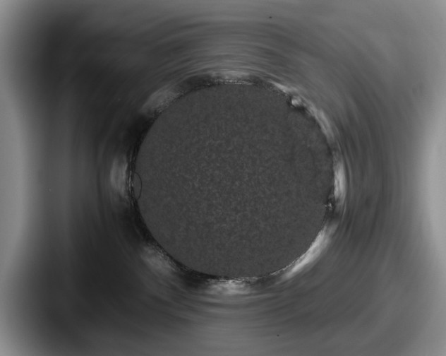 X0000087670140200705111205