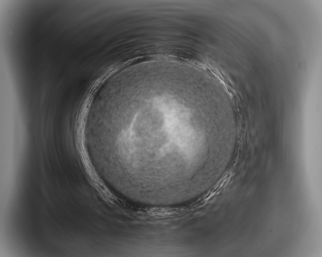 X0000087670145200705111204