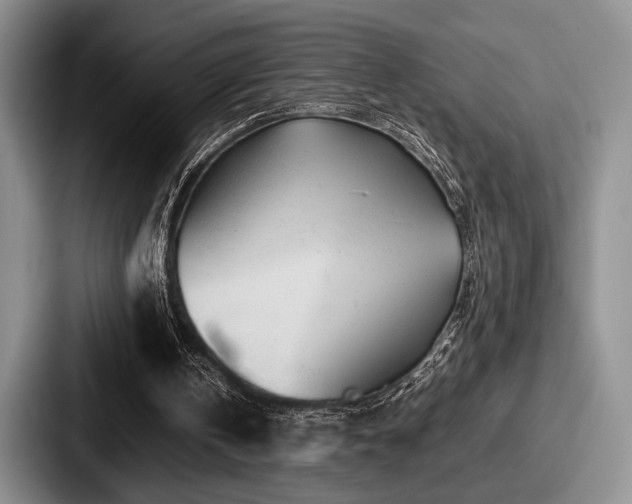 X0000087670146200705111204