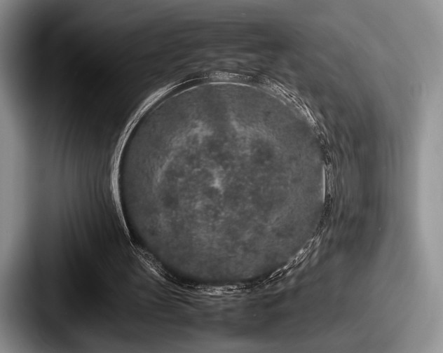 X0000087670147200705111204