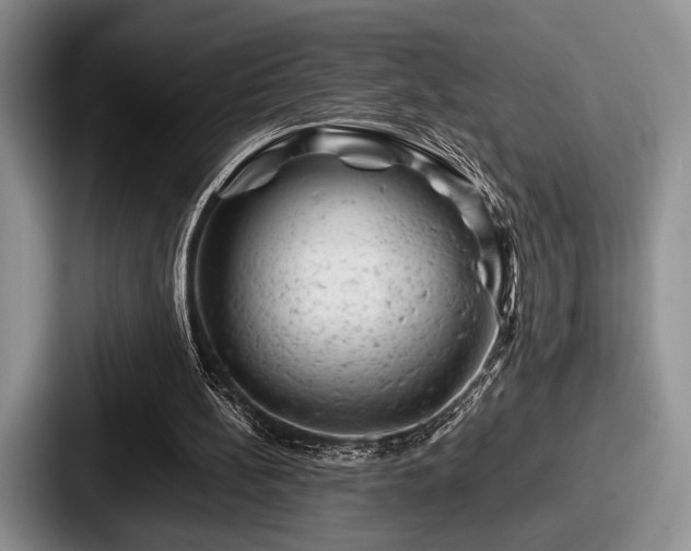 X0000087670148200705111204