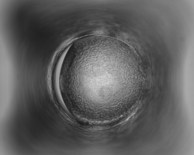 X0000087670149200705111204