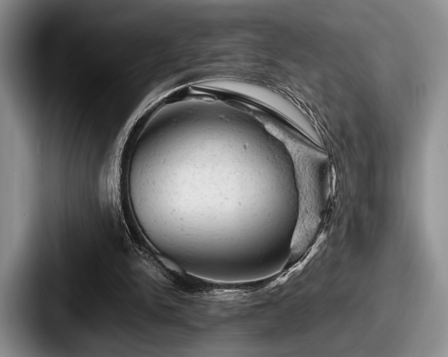 X0000087670150200705111204