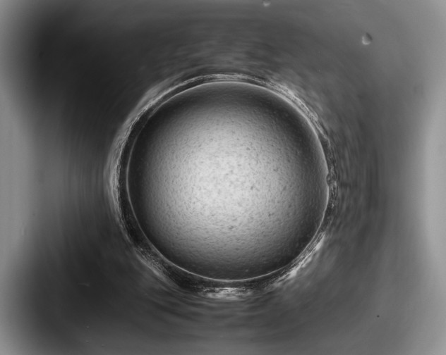 X0000087670151200705111204