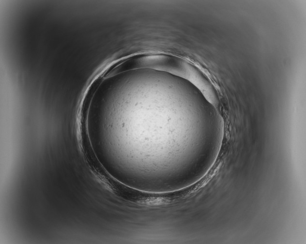 X0000087670152200705111204