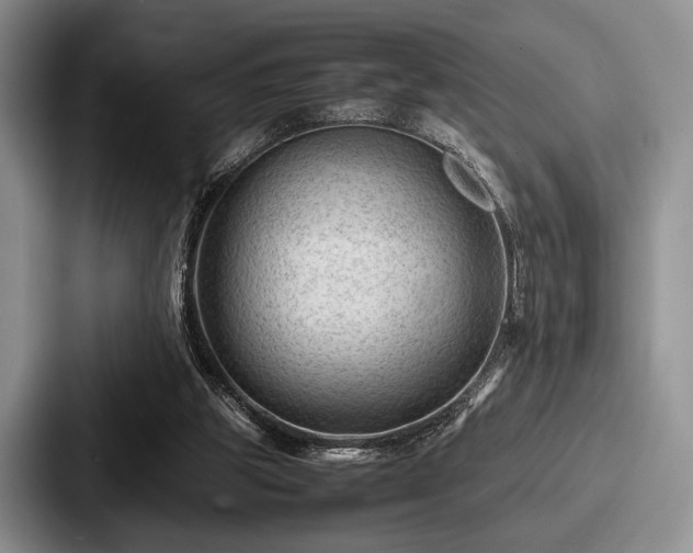 X0000087670153200705111204